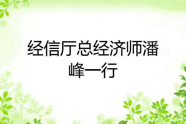 经信厅总经济师潘峰一行