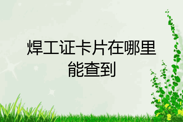 焊工证卡片在哪里能查到