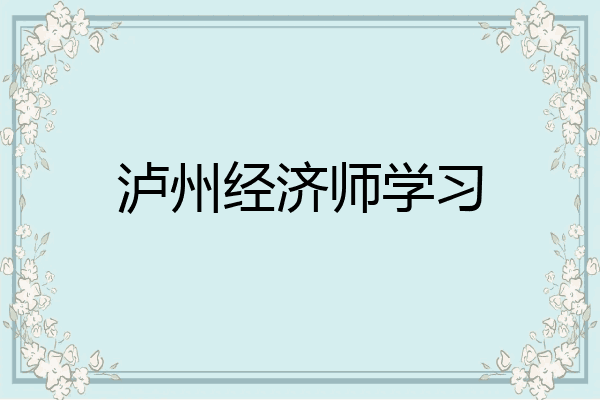 泸州经济师学习