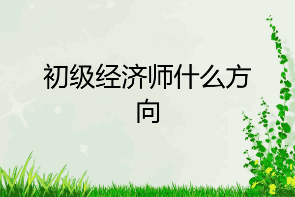 初级经济师什么方向