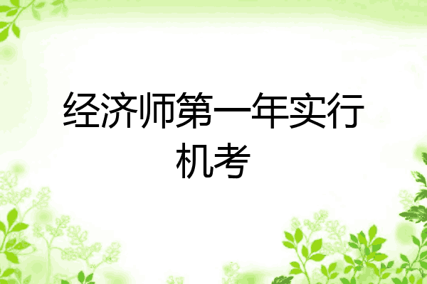 经济师第一年实行机考