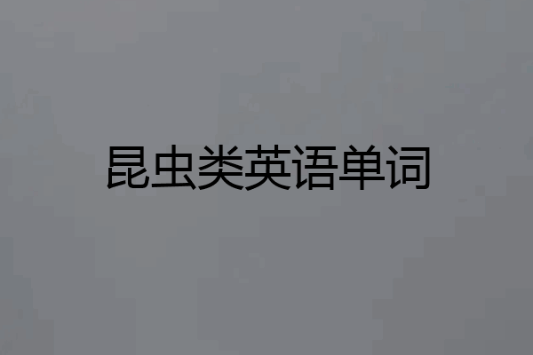 昆虫类英语单词