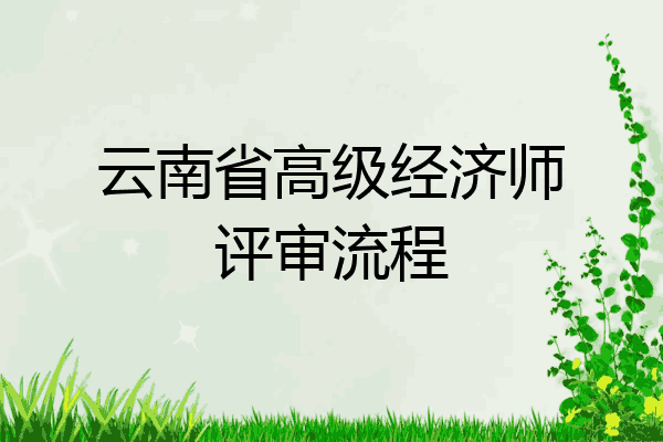 云南省高级经济师评审流程