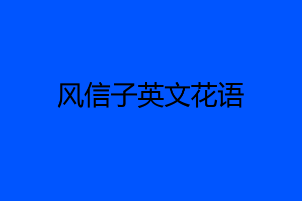 风信子英文花语