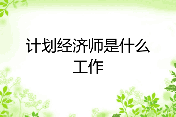 计划经济师是什么工作