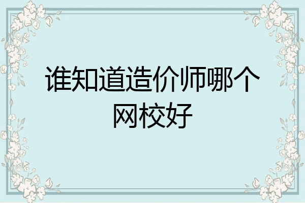 谁知道造价师哪个网校好