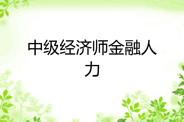 中级经济师金融人力