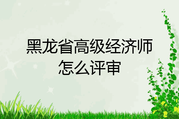 黑龙省高级经济师怎么评审