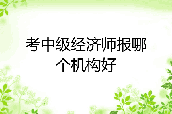 考中级经济师报哪个机构好