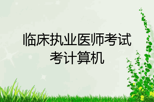 临床执业医师考试考计算机