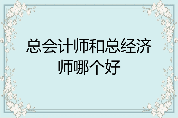 总会计师和总经济师哪个好