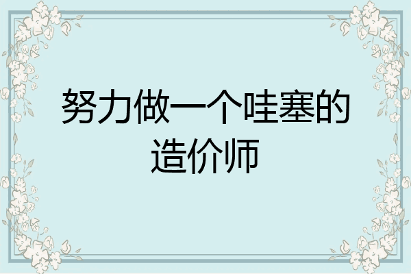 努力做一个哇塞的造价师
