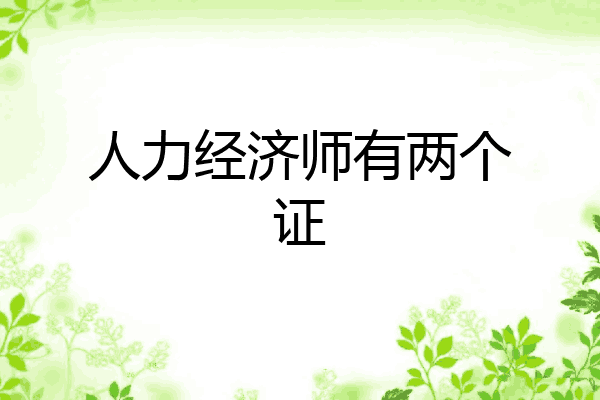 人力经济师有两个证