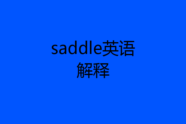 saddle英语解释