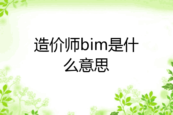 造价师bim是什么意思