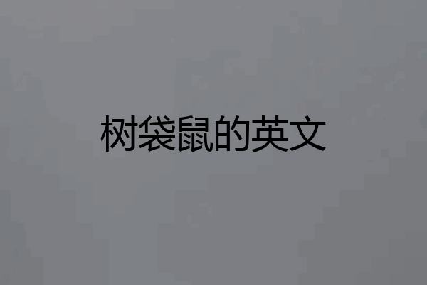 树袋鼠的英文
