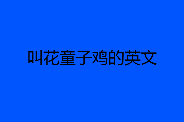 叫花童子鸡的英文