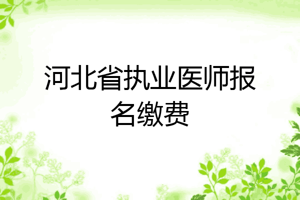 河北省执业医师报名缴费