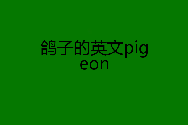 鸽子的英文pigeon