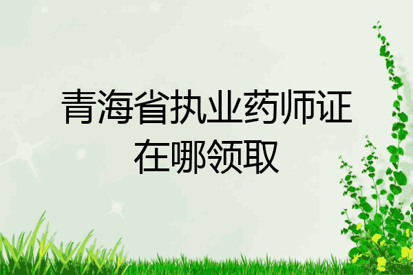 青海省执业药师证在哪领取