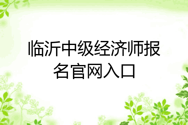 临沂中级经济师报名官网入口