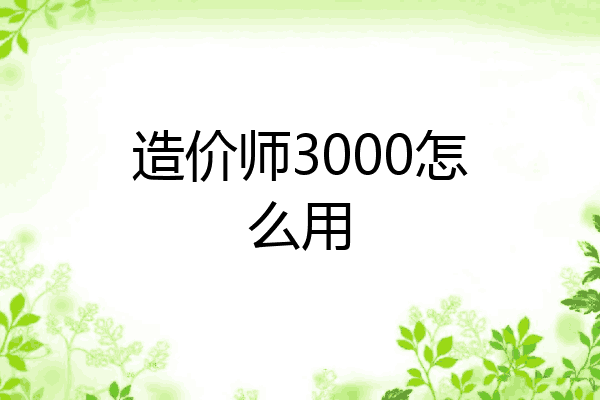 造价师3000怎么用