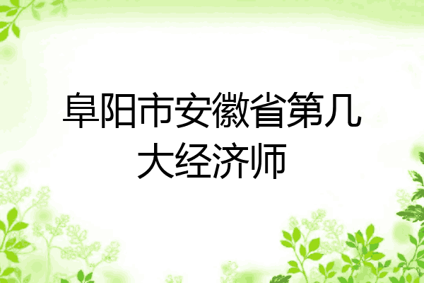 阜阳市安徽省第几大经济师