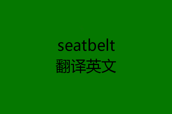 seatbelt翻译英文