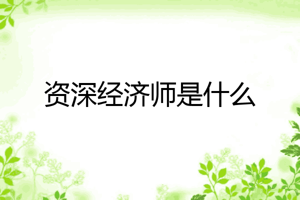 资深经济师是什么