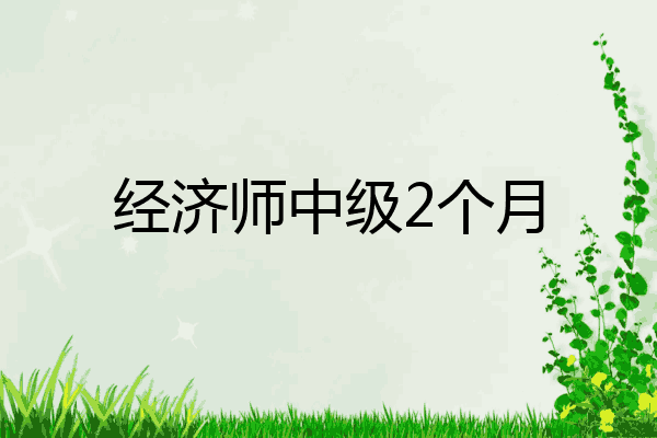 经济师中级2个月