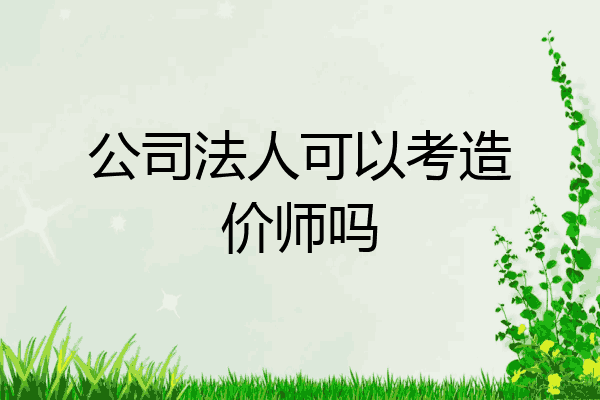 公司法人可以考造价师吗