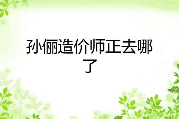 孙俪造价师正去哪了