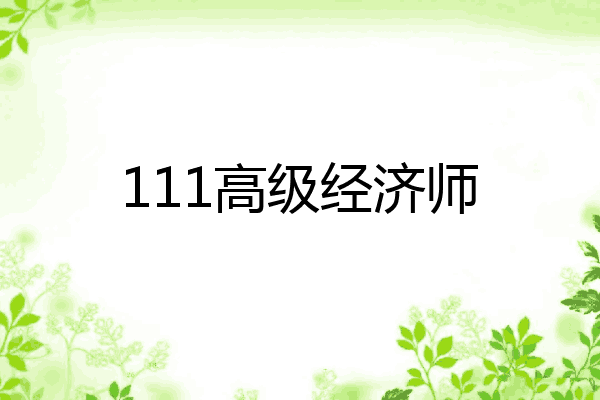 111高级经济师