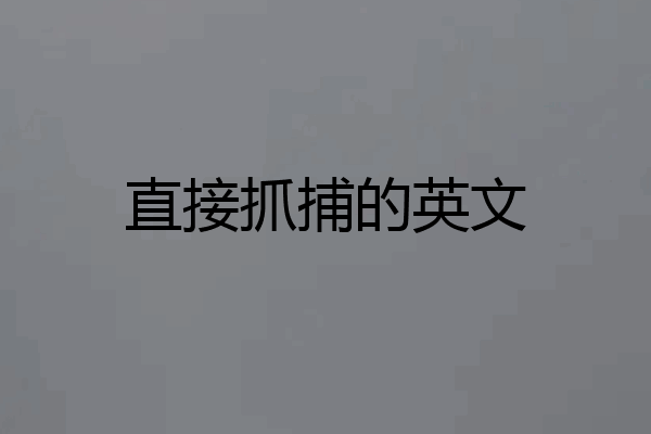 直接抓捕的英文