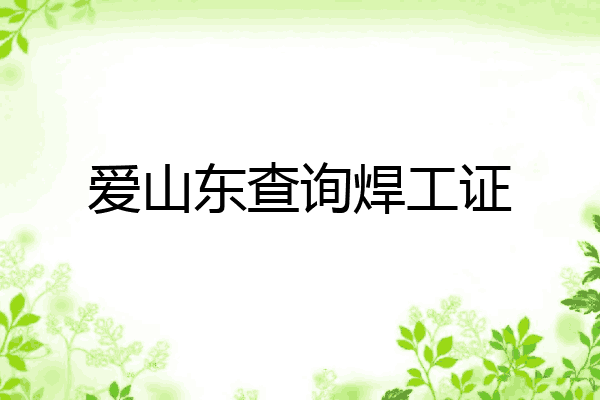 爱山东查询焊工证