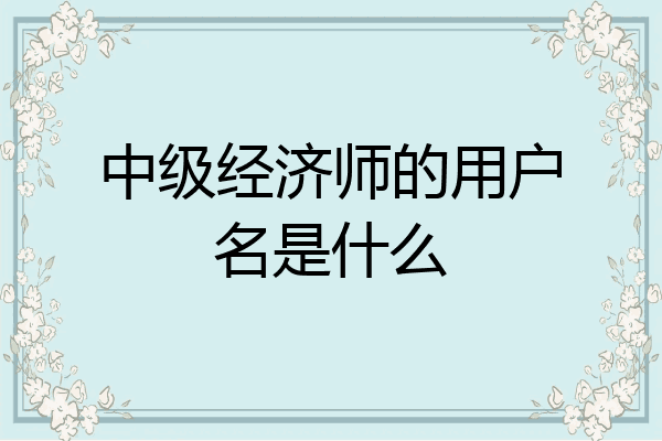 中级经济师的用户名是什么
