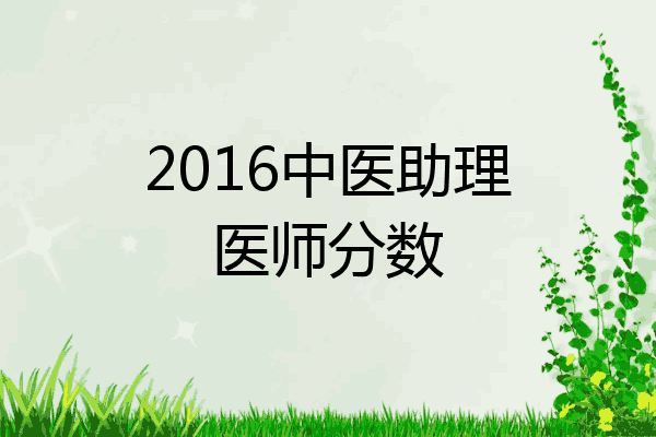 2016中医助理医师分数