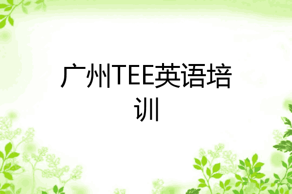 广州TEE英语培训