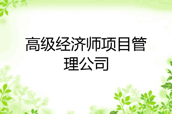 高级经济师项目管理公司