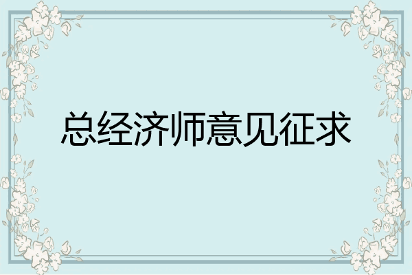 总经济师意见征求