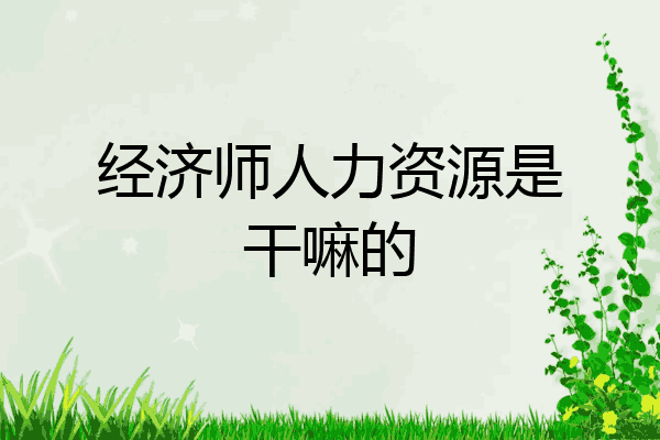 经济师人力资源是干嘛的