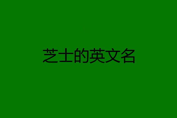芝士的英文名