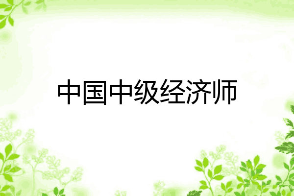 中国中级经济师