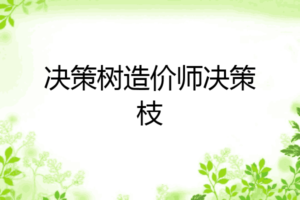决策树造价师决策枝