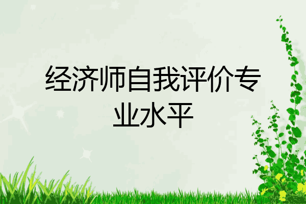 经济师自我评价专业水平