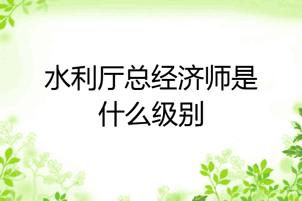水利厅总经济师是什么级别