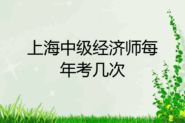 上海中级经济师每年考几次