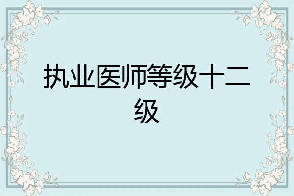 执业医师等级十二级