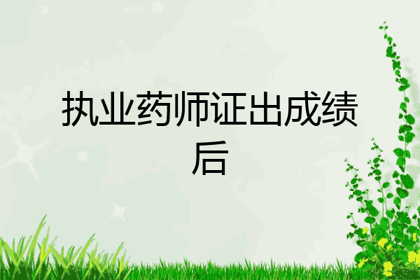执业药师证出成绩后