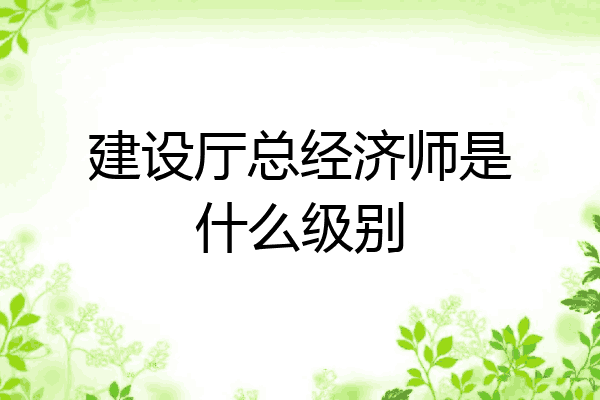 建设厅总经济师是什么级别